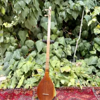 سه تار استاد نعمت اللهی مخصوص کودکان