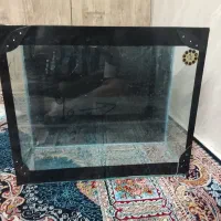 آکواریوم سالم تزیینی مفت
