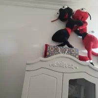 درحد نونو