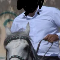 اسب