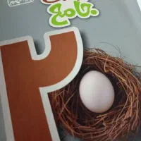 کتاب ماجرای بیست پایه نهم