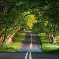 طبیعت گردی