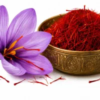 خرید عمده زعفران سوپرنگین از کشاورز
