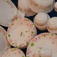 ارکوپال امارات