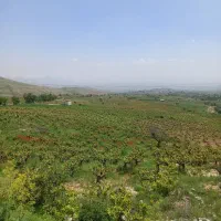 زمین-های-کشاورزی-حاشیه-و-شهرک-گلستان