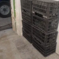 جعبه میوه