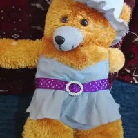 عروسک خرسی
