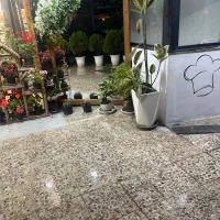 استخدام نیرو