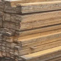 نیروی کار چوببری  نراد روسی