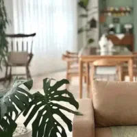 ۶۵ متر، پشت شهرداری ، رزها
