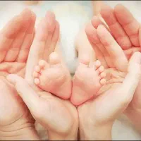 هماهنگی اهداکننده تخمک و جنین و رحم جایگزین