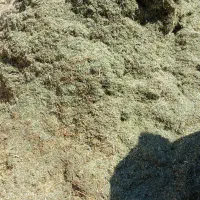 فروش ۱۰عدل وینجه آماده