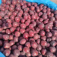 عناب شناسنامه دار،یکدست نبود پس بیار
