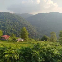 معاوضه وفروش فوری زمین دو نبش ۱۰۰۰متری