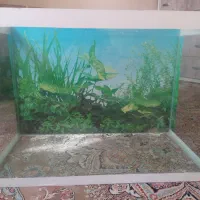 آکواریوم شیشه خم