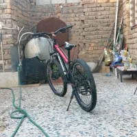 دوچرخه 24 تنه کوتاه