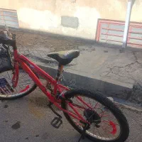 دوچرخه 24 اینتنز