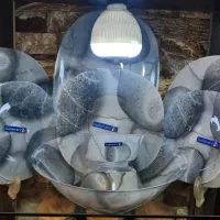 سرویس غذاخوری 38 پارچه لومینارک فرانسه