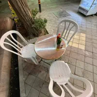 میز و صندلی رستورانی و باغ