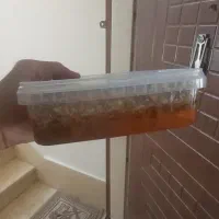 عسل طبیعی