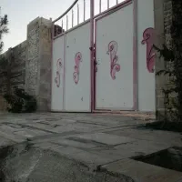 باغ 1000 متر جاده کاهو