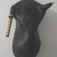 نیهمبان تیز خوش صدا  ابندی شده