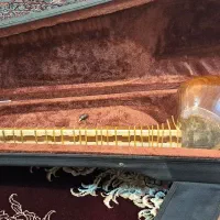 ساز تار|سازهای سنتی|قم, منبع آب|دیوار