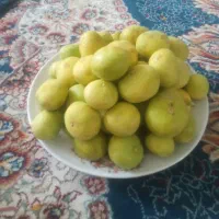 انجیر در یک تازه