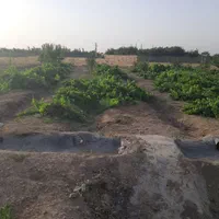 باغ حسین آباد بغدادی پایین