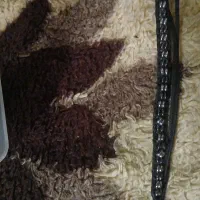دست بند با سنگ ال حدید اصلی