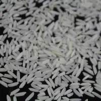 برنج طارم هاشمی امسال درجه یک