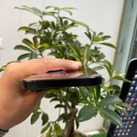 اپل iPhone 16 Pro Max با حافظهٔ ۲۵۶ گیگابایت|موبایل|کرج, کوی امامیه|دیوار