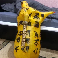 نی انبان