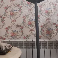 جاروشارژی مارک گاسونیک ۲۰۰وات