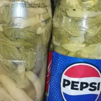 ترشی بیلهر