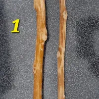 چوب نشیمن طوطی سانان و پرندگان زینتی