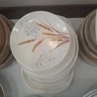 ظروف