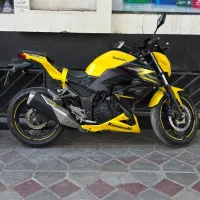 z300