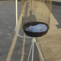 قفس با پایه