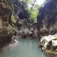 طبیعت گردی