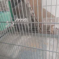 قفس پرنده بزرگ