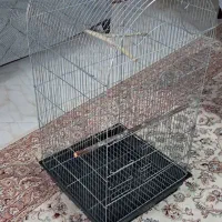 قفس بزرگ