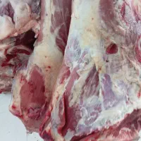 گوشت تازه گاووگوساله گوسفندی