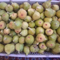 انجیر|خوردنی و آشامیدنی|بناب, |دیوار