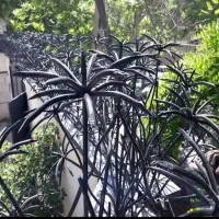 نرده،حفاظ روی دیوار،بوته ای،نیزه ای،شاخ گوزنی