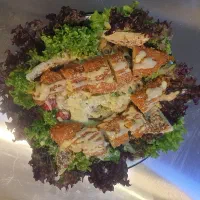 راه اندازی کافه فست فود ایتالیایی(صفرتاصد)