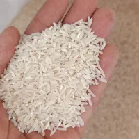 برنج فجر