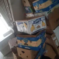 کارتن موز