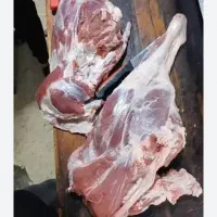 بزوبزغاله نرچاق گوشت تازه آمده تحویل باکیفت مطلوب