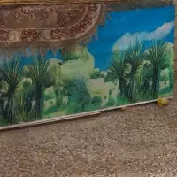 اکواریوم